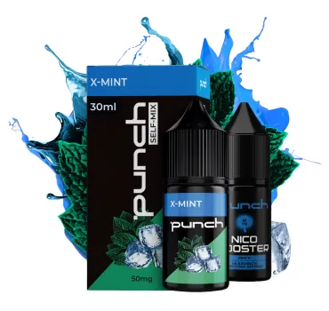 Набір Punch 30 мл 65 мг X-MINT