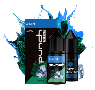 Набір Punch 30 мл 65 мг X-MINT