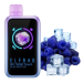 Elf Bar RC10000 TOUCH Blue Razz Ice